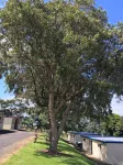 Limestone Coast Tourist Park - 3-Star