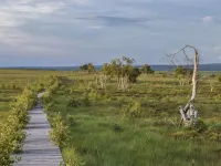 Renovated Farmhouse Quiet Location with Garden, Terrace, Ideal for Walks & Cycling