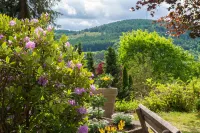 Hotel am Fang Hotels in Bad Laasphe