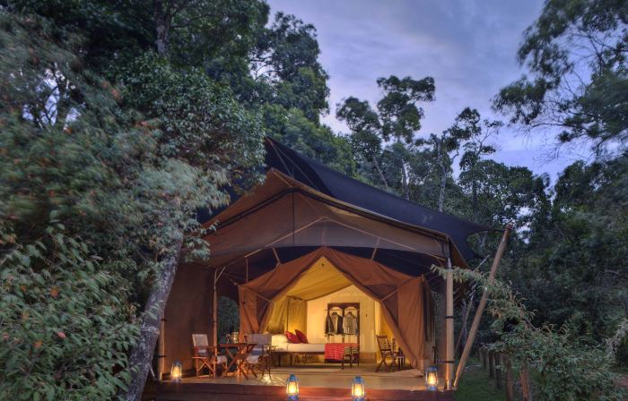 Elephant Pepper Camp