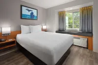 Microtel Inn & Suites by Wyndham Ann Arbor Hotels in Ann Arbor