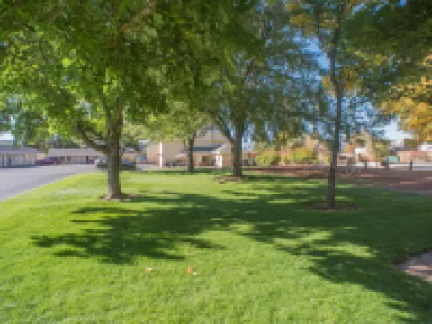 Shasta Pines Motel & Suites Hotels in Burney