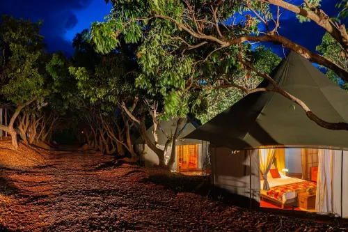 Gadiamb City Hotels in Entre-Deux