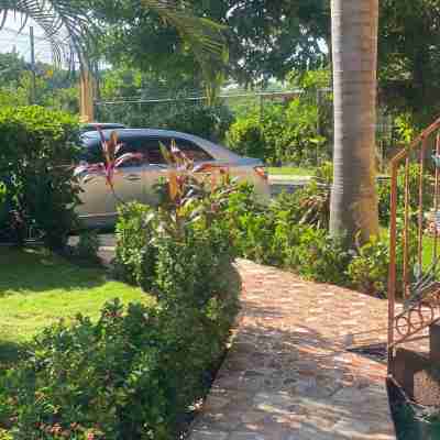 Montego Bay Ironshore  Luxury Studios Hotel Exterior