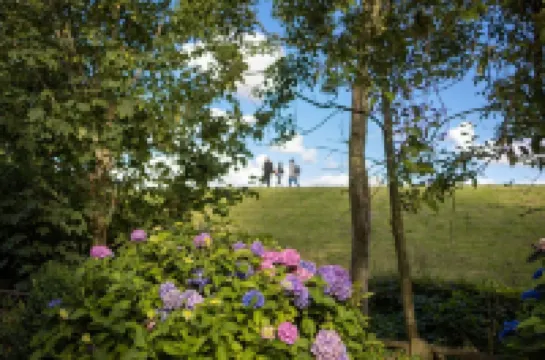 A treasure chest behind the dike at the harbor for two people