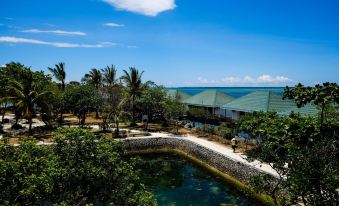 Nalusuan Island Resort and Marine Sanctuary