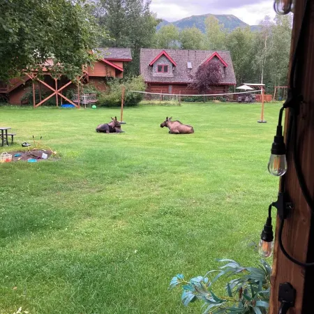 Moose Lodge Cabin , chalet & apartment , & 2 Hot tubs ! Sleeps 23