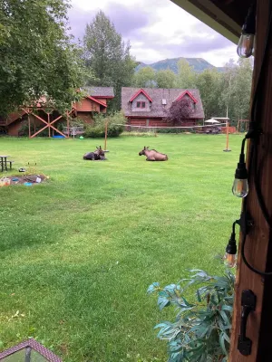 Moose Lodge Cabin , chalet & apartment , & 2 Hot tubs ! Sleeps 23