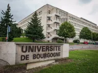 Hotel Inn Design Dijon Sud Hotels near Dijon IUT