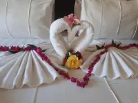 Zeny Lodge Hotels in 