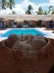 Amani Paje B&B - Pools