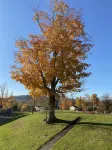 The Sunview Motel Hotels in Catskill