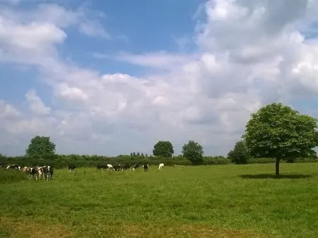 Battens Farm Cottages B&B Отели в г. Коршам