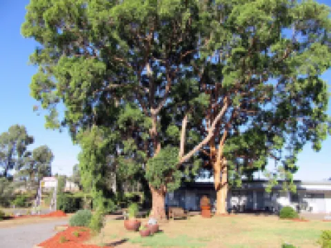 The Highlander Motel - 24HR Check IN Hotels in Maryborough