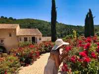 Domaine Ribiera, Hotel 5 Etoiles, Spa & Golf - Forcalquier Hotels in Forcalquier