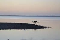 The Abbey Raymond Island Hotels in Paynesville