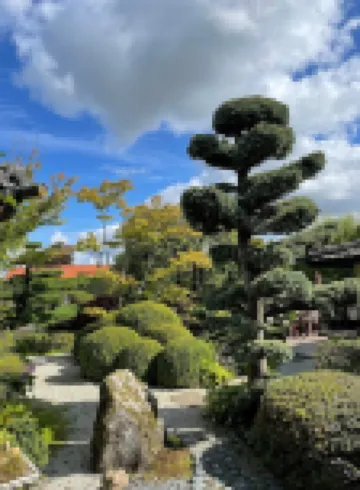 덴 자판스케 하베