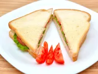 Hotel Parklane Hotels near Dadar