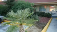 Winnquest Inn Near Ft. Sam Houston