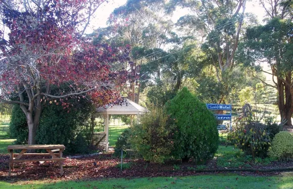 託拉洛奇汽車旅館