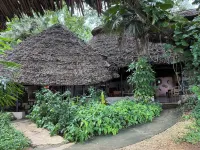 桑給巴爾姆本尼遺址飯店-叢林天堂海灘度假村及水療中心 住宿飯店