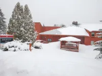 Snow Cap Inn Hotels in Newry