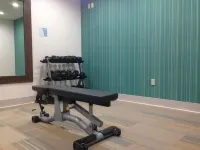 Holiday Inn Express & Suites PIGEON FORGE - SEVIERVILLE by IHG - Gym