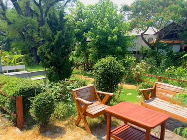 รูปภาพของบ้านร่มไม้