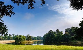 Tadoba Jungle Camp