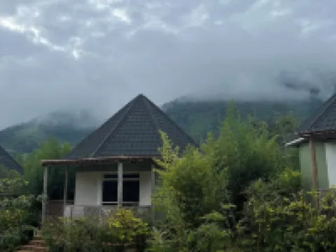 Rafiki Safari Lodge Bwindi Hotels in Kinkiizi