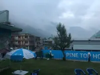 Pine Top Hotels Naran Hotel di Naran