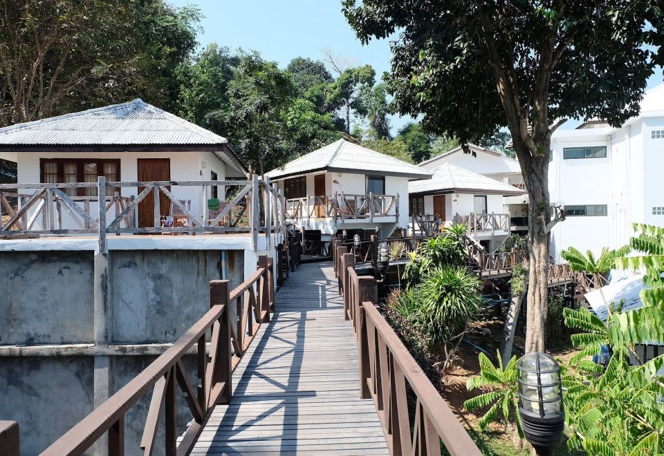 3. 사메드 클리프 ..