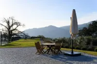 Vinte-Quinta da Boavista