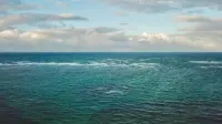 Magic North Shore Beach House 30 Day Rental - Bungalow