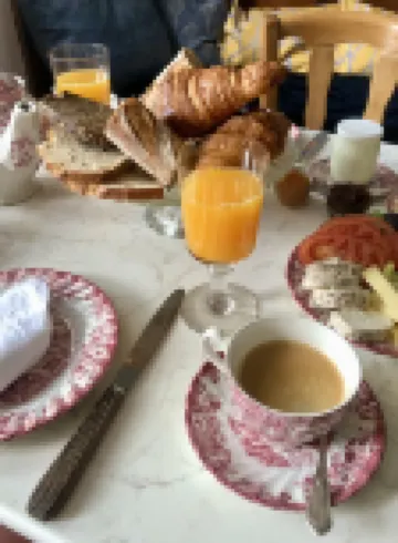Maison et table d'hôtes le Camélia Blanc的白色茶花農家旅館