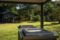 Daintree Beach Resort Hotels in Daintree