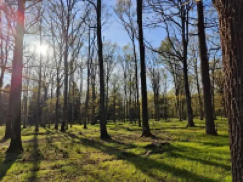 Sublimes hébergements en Coeur de forêt Hotels in Vierzon