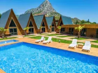 Araz Wooden Concept