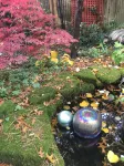 Charming Cottage in Historical Dist with Beautiful Gardens-5 Minute Walk to Town