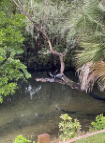 Warm Mineral Springs Cozy Waterfront Apartment
