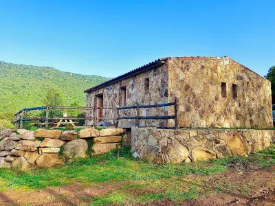 The sheepfolds of Monacia