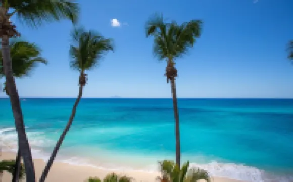 Stunning Penthouse on Mullet Bay beach