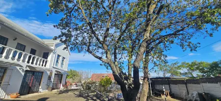 Kelkiewyn Guesthouse Caledon