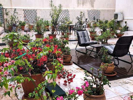 Sunny Terrace of Flowers in Central Lisbon