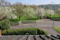 Fewo, Quiet Location Directly above St Goar, the Rhine and Opposite the Loreley