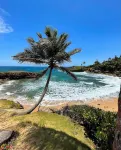 Fully equipped apartment with AC, WiFi in unique location in Vega Alta Beach.
