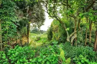 Quiet, relaxing cottage in a rural setting Hotels in Levin