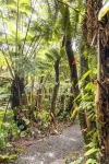 Charming 2-bedroom lodge in beautiful Volcano with Hot Tub