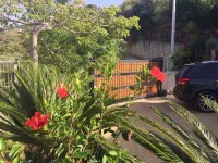 The swimming villa with pool