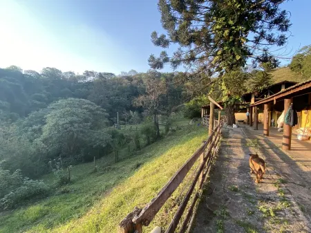 Sítio Blue Butterfly - Paradise in the Serra da Cantareira